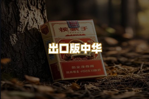 出口版中华